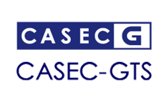 CASEC-G（CASEC-Grammar）